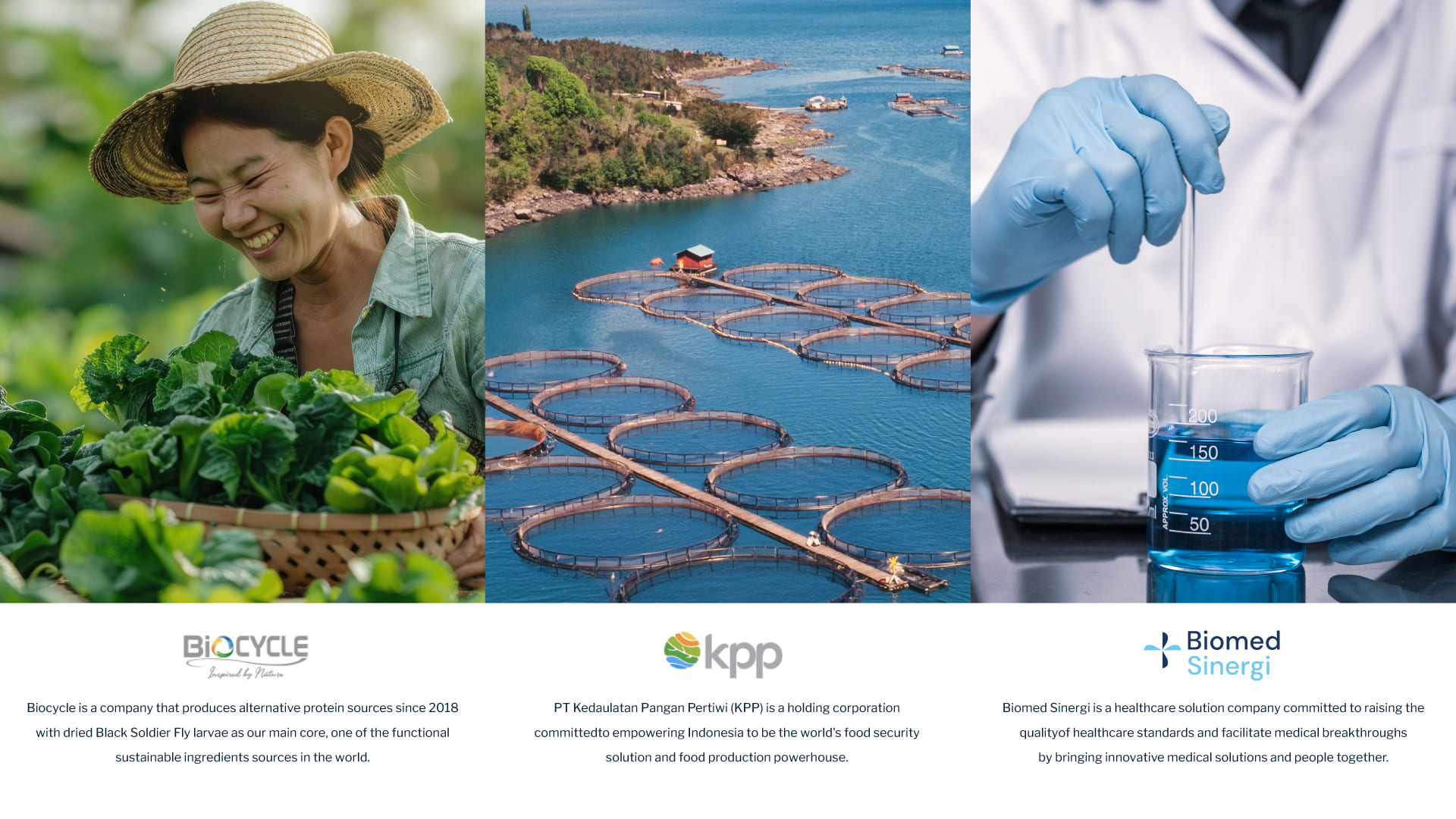 Impactful Group of Companies