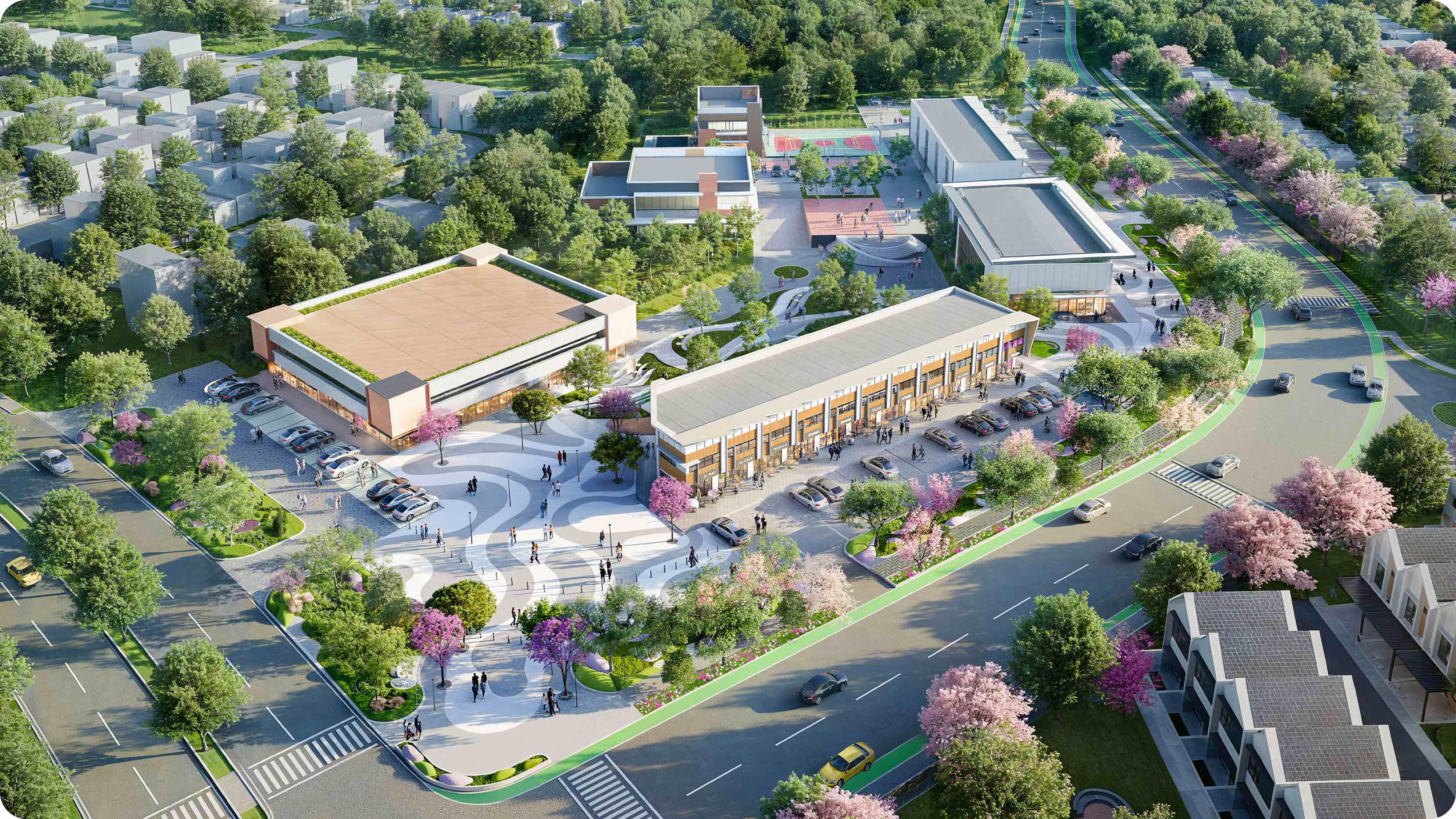 Everyday Lifestyle Hub