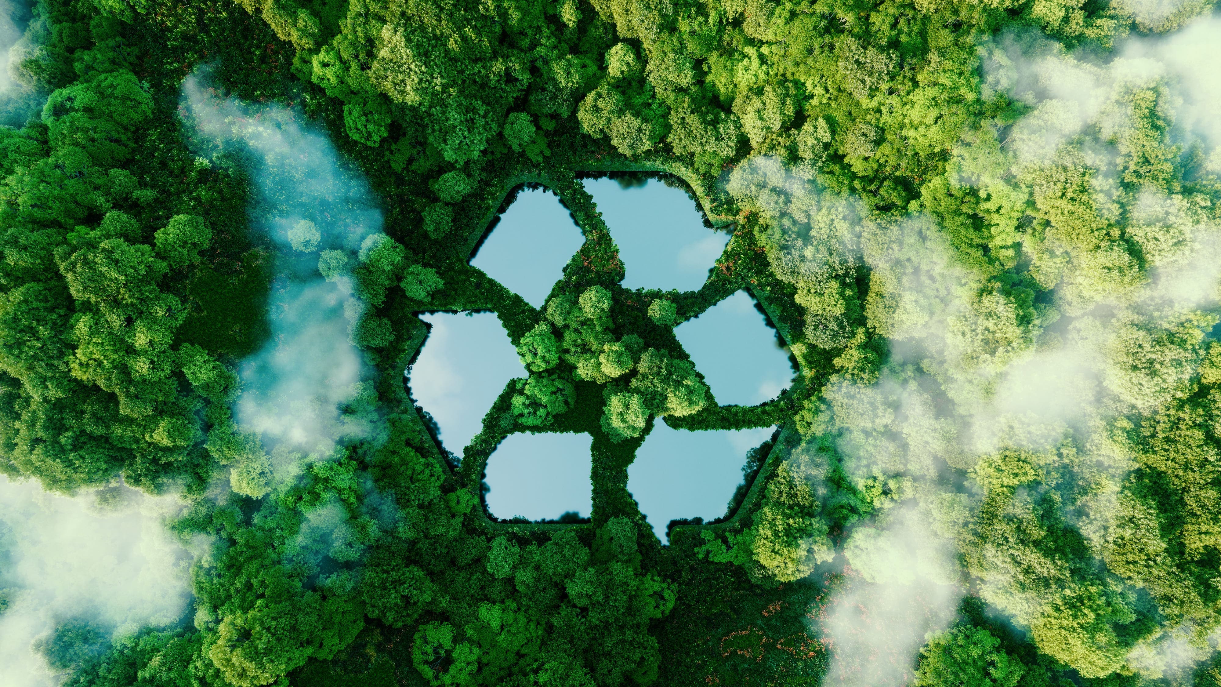 Creating a regenerative future for all, empowered by innovative and impactful businesses.